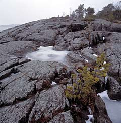 Ut, Stockholm Archipelago