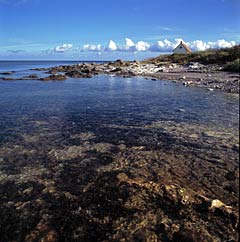 Ljugarn, Gotland