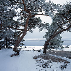 Sandn, Stockholm Archipelago