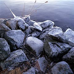 Tynning, Stockholm Archipelago