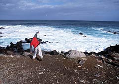 Azores